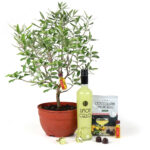 607 Italie In Je Tuin Img 7914 Ukp