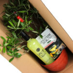 607 Italie In Je Tuin Insert Ukp