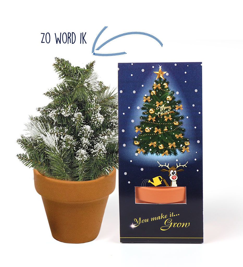 Cool met Merken - kerstpakket - Afbeelding 2